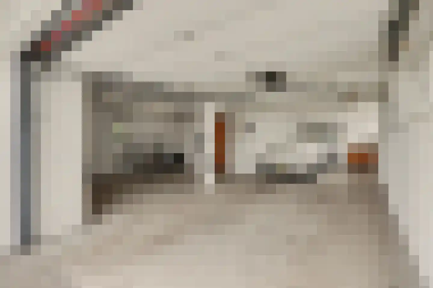 Hoge Noordweg 25 Naaldwijk thumbnail 51