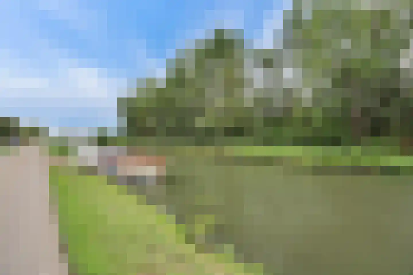 Hoge Noordweg 25 Naaldwijk thumbnail 55