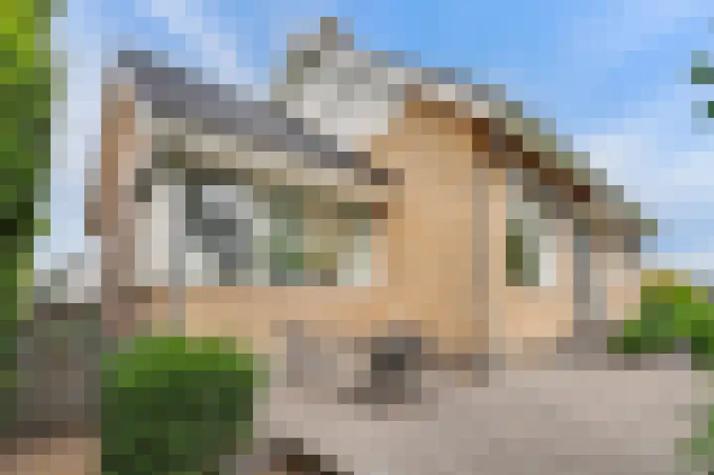 Hoge Noordweg 25 Naaldwijk thumbnail 7