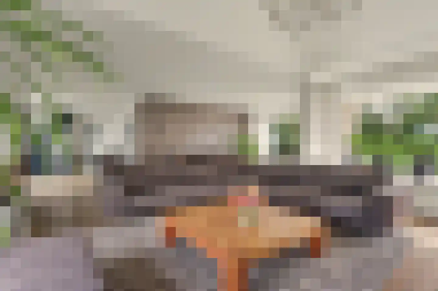 Hoge Noordweg 25 Naaldwijk thumbnail 9