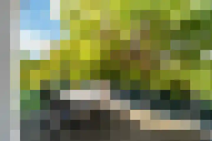 Hoge Noordweg 26 A Naaldwijk thumbnail 17