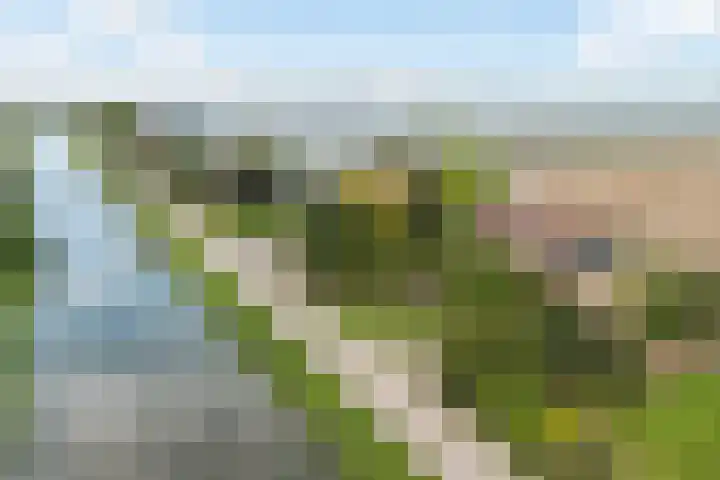 Hoge Noordweg 26 A Naaldwijk thumbnail 28