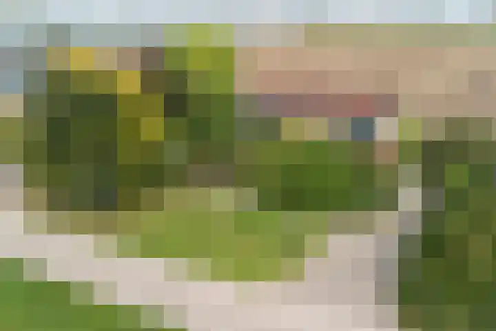 Hoge Noordweg 26 A Naaldwijk thumbnail 6