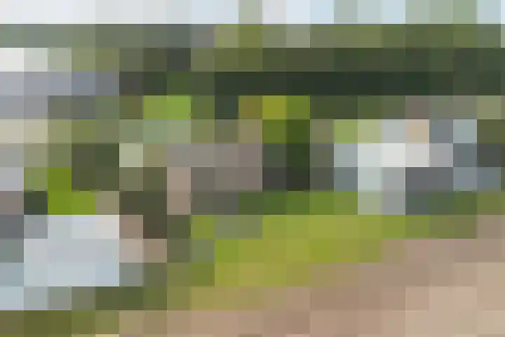 Hoge Noordweg 26 A Naaldwijk thumbnail 7