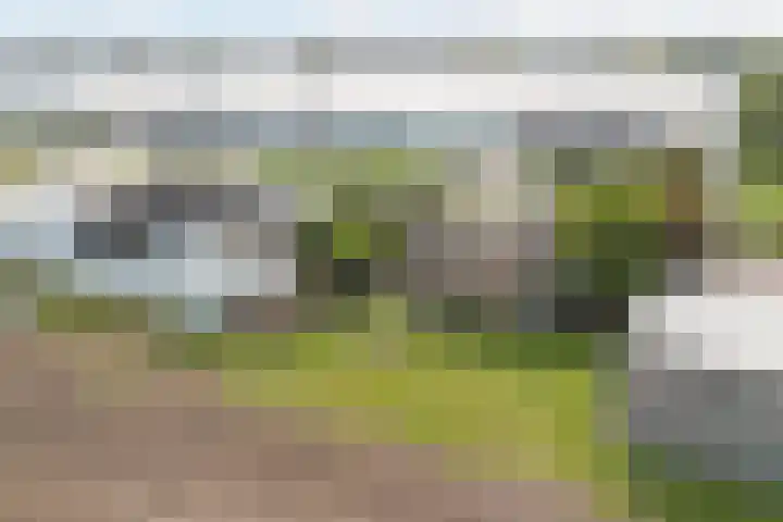 Hoge Noordweg 26 A Naaldwijk thumbnail 8