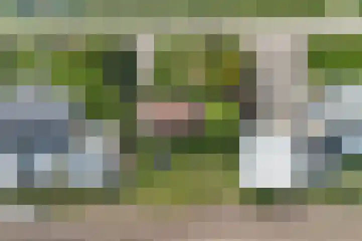 Hoge Noordweg 26 A Naaldwijk thumbnail 9