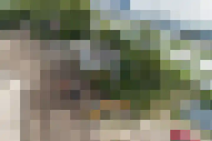 Hoge Noordweg 27 B Naaldwijk thumbnail 13