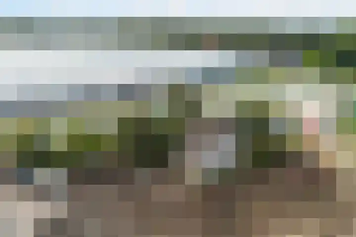 Hoge Noordweg 27 B Naaldwijk thumbnail 14
