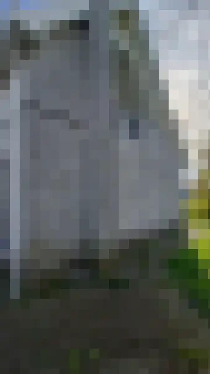 Hoge Noordweg 27 B Naaldwijk thumbnail 20
