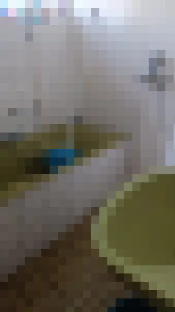 Hoge Noordweg 27 B Naaldwijk thumbnail 24