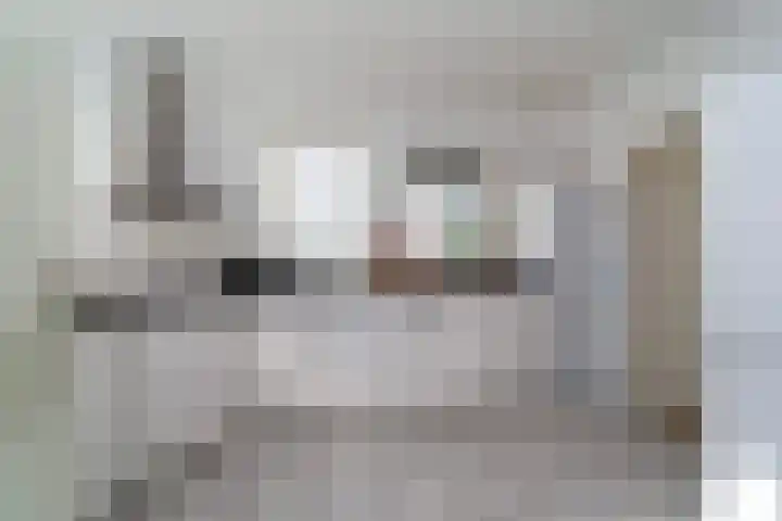 Hoge Noordweg 27 B Naaldwijk thumbnail 30