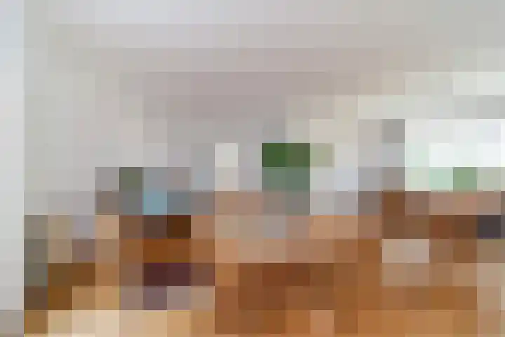 Hoge Noordweg 27 B Naaldwijk thumbnail 6