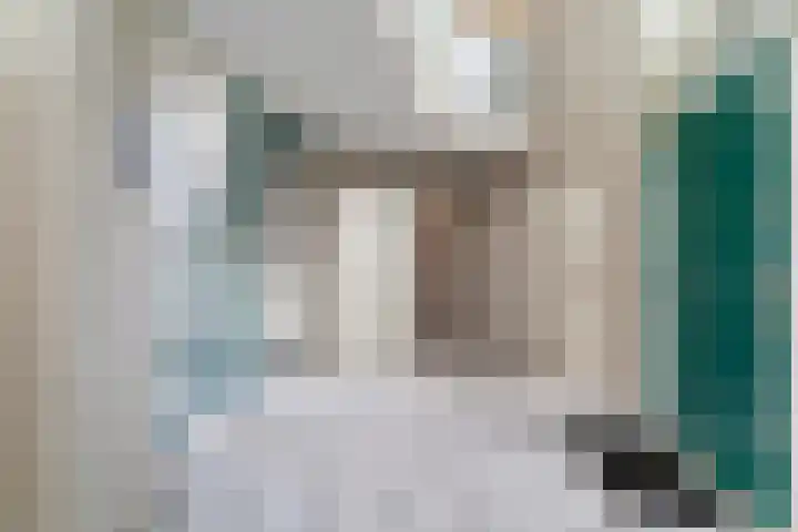 Hoge Noordweg 27 B Naaldwijk thumbnail 8