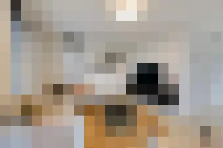 Hoge Oever 23 Pannerden thumbnail 22