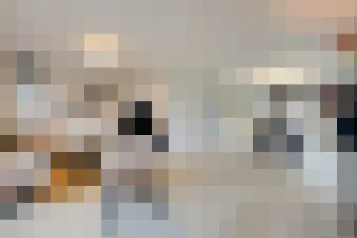 Hoge Oever 23 Pannerden thumbnail 23