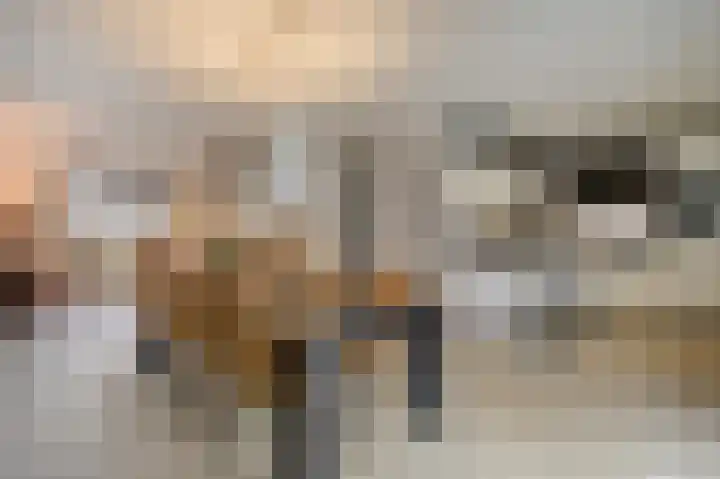 Hoge Oever 23 Pannerden thumbnail 28