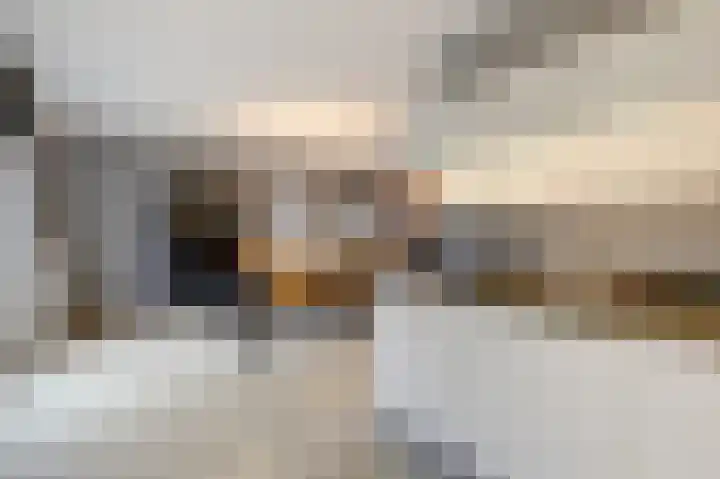 Hoge Oever 23 Pannerden thumbnail 30