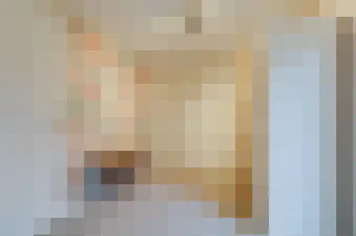 Hoge Oever 23 Pannerden thumbnail 34