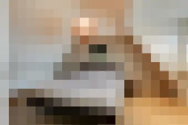 Hoge Oever 23 Pannerden thumbnail 39