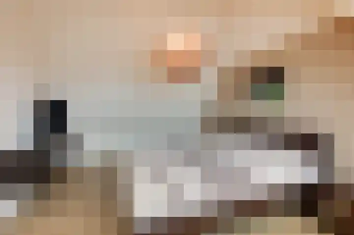 Hoge Oever 23 Pannerden thumbnail 40