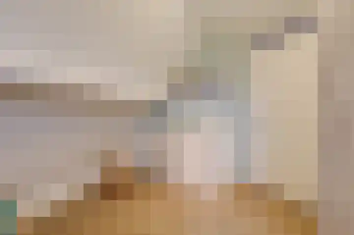 Hoge Oever 23 Pannerden thumbnail 50