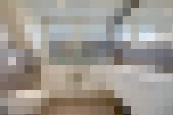 Hoge Oever 23 Pannerden thumbnail 51