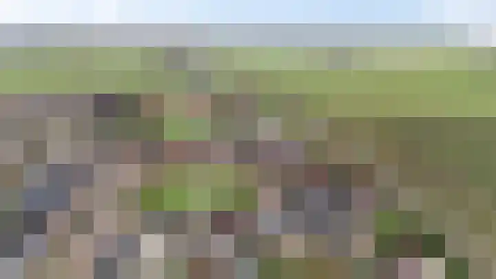 Hoge Oever 23 Pannerden thumbnail 7