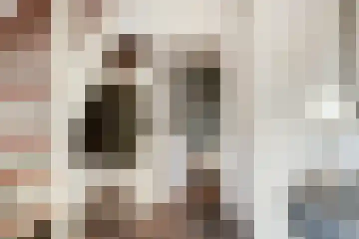 Hoge Oever 29 Pannerden thumbnail 12