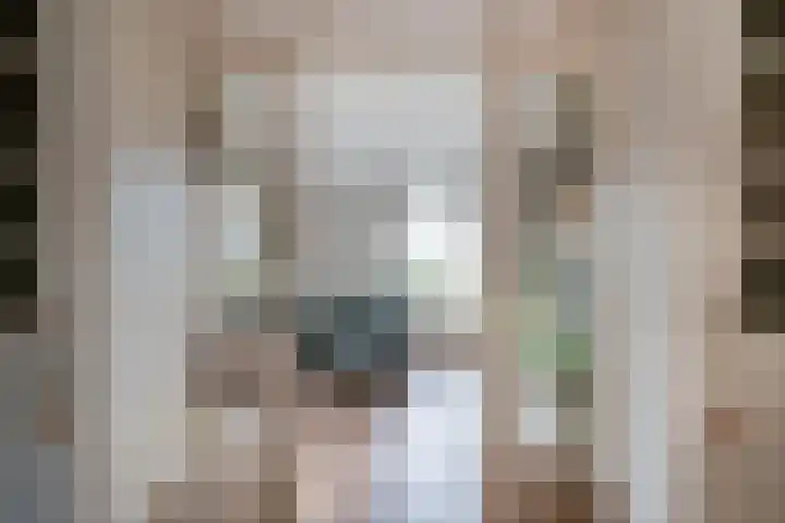 Hoge Oever 29 Pannerden thumbnail 16