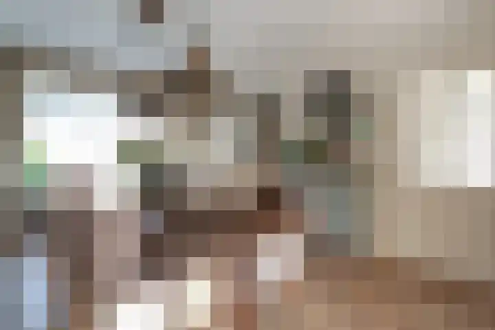Hoge Oever 29 Pannerden thumbnail 21