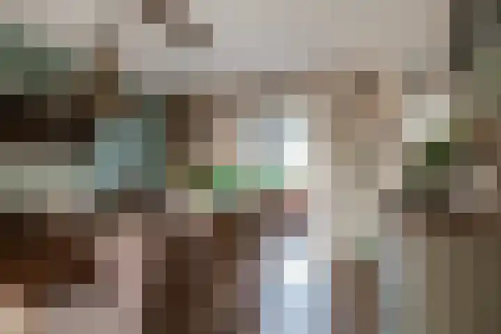 Hoge Oever 29 Pannerden thumbnail 29