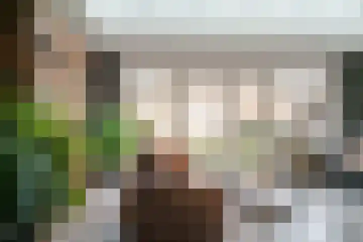 Hoge Oever 29 Pannerden thumbnail 30