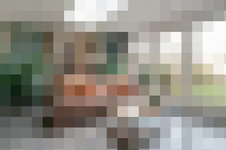 Hoge Oever 29 Pannerden thumbnail 33