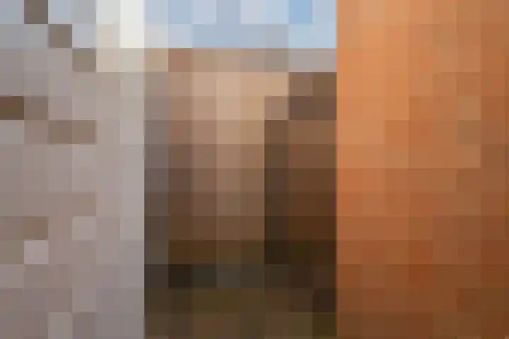 Hoge Oever 29 Pannerden thumbnail 36