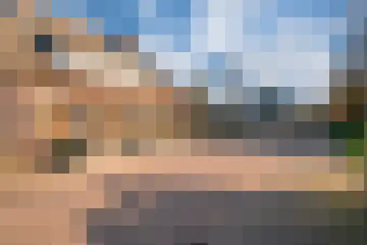 Hoge Oever 29 Pannerden thumbnail 5