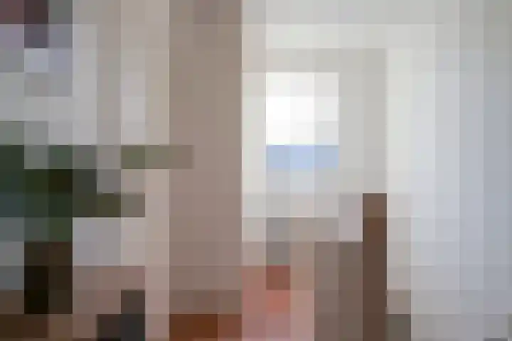 Hoge Oever 29 Pannerden thumbnail 50