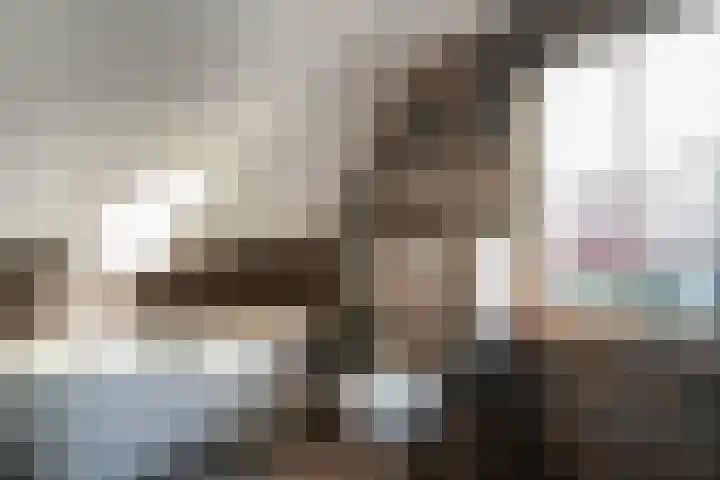 Hoge Oever 29 Pannerden thumbnail 52