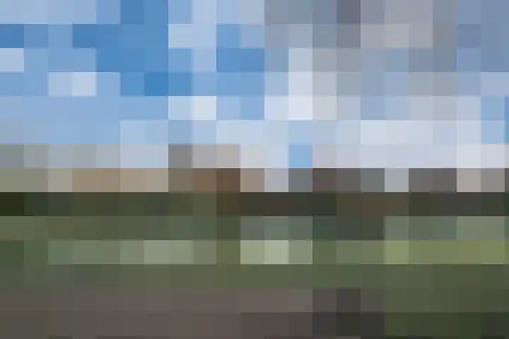 Hoge Oever 29 Pannerden thumbnail 59