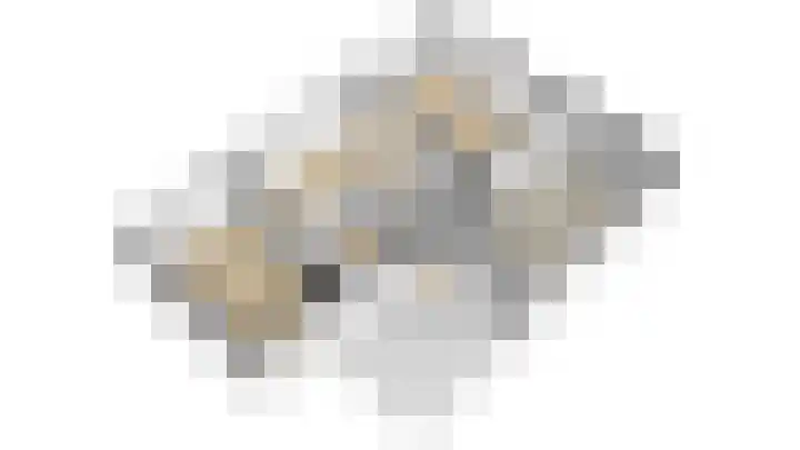 Hoge Oever 29 Pannerden thumbnail 64
