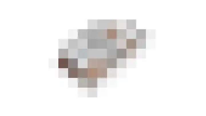 Hoge Oever 29 Pannerden thumbnail 66