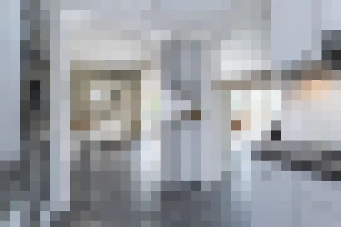 Hoge Pad 17 Ouddorp thumbnail 20