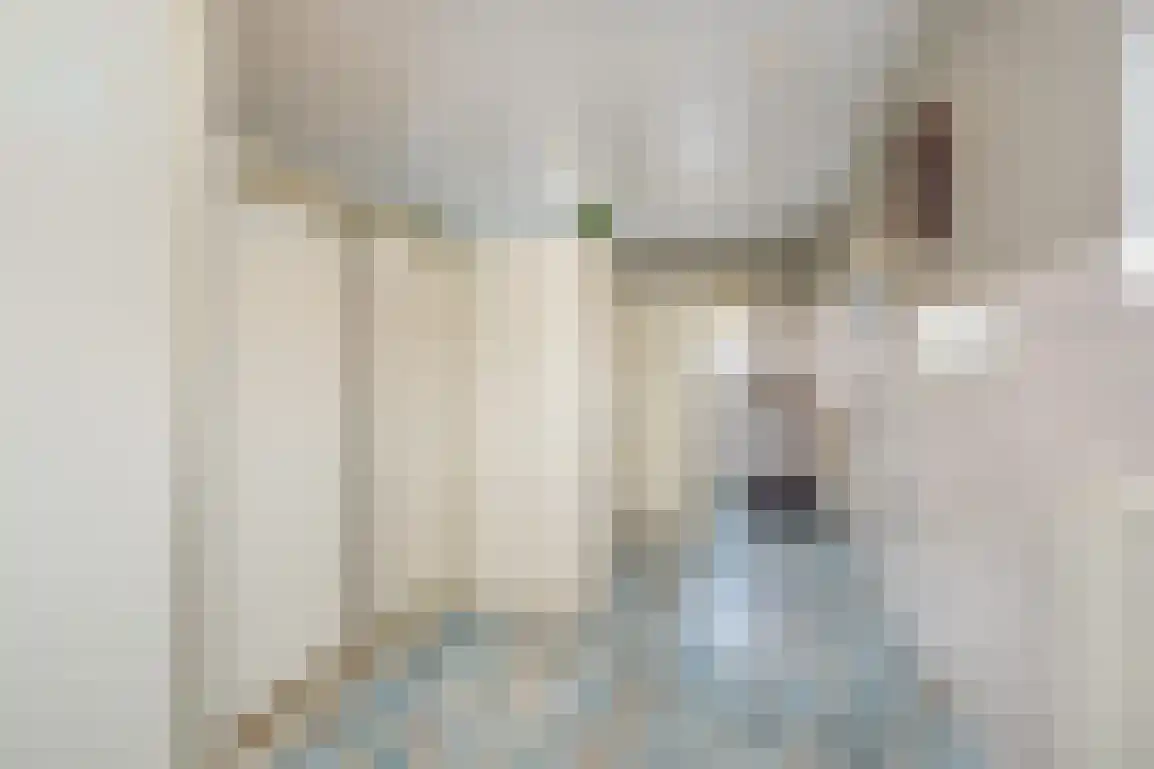 Hoge Pad 17 Ouddorp thumbnail 26