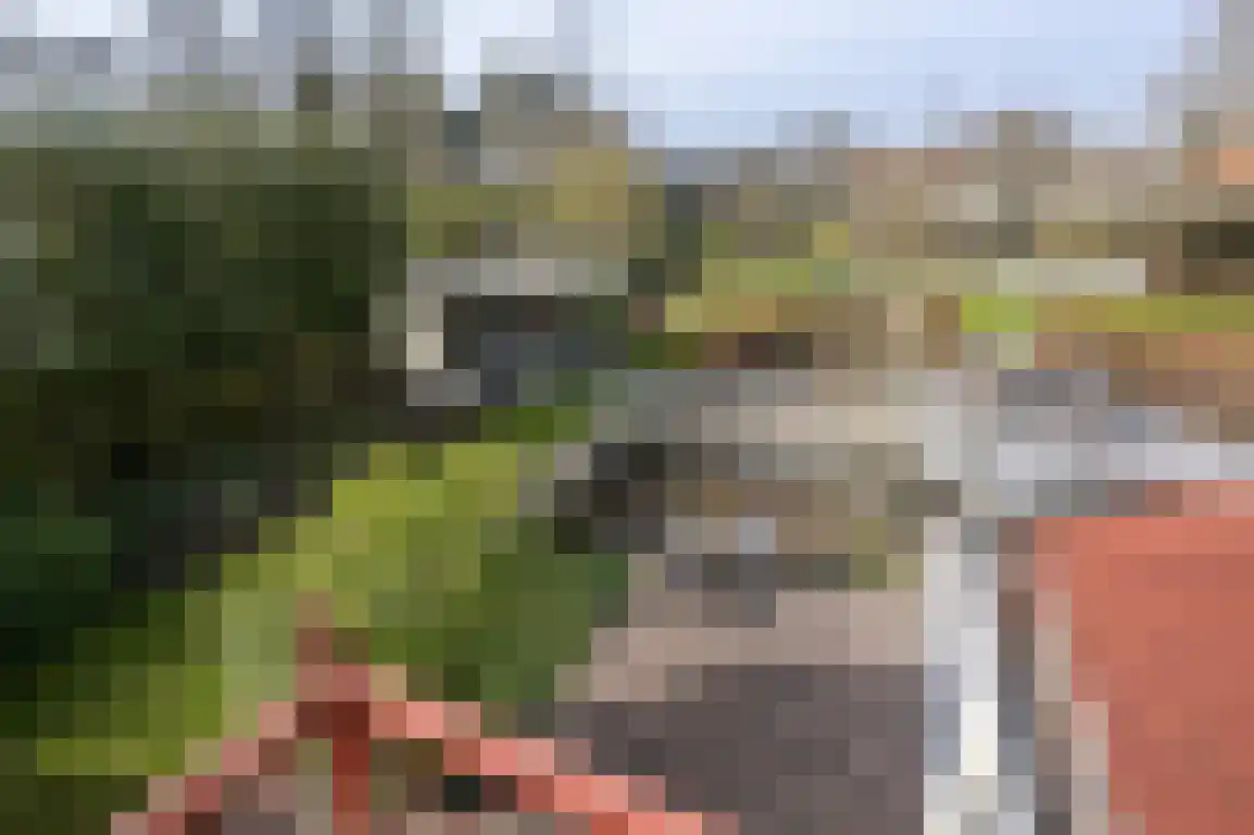 Hoge Pad 17 Ouddorp thumbnail 32