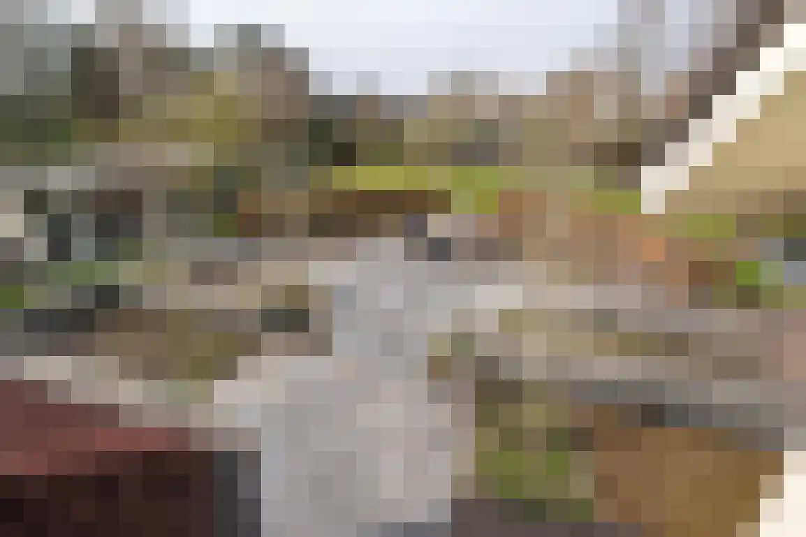 Hoge Pad 17 Ouddorp thumbnail 37
