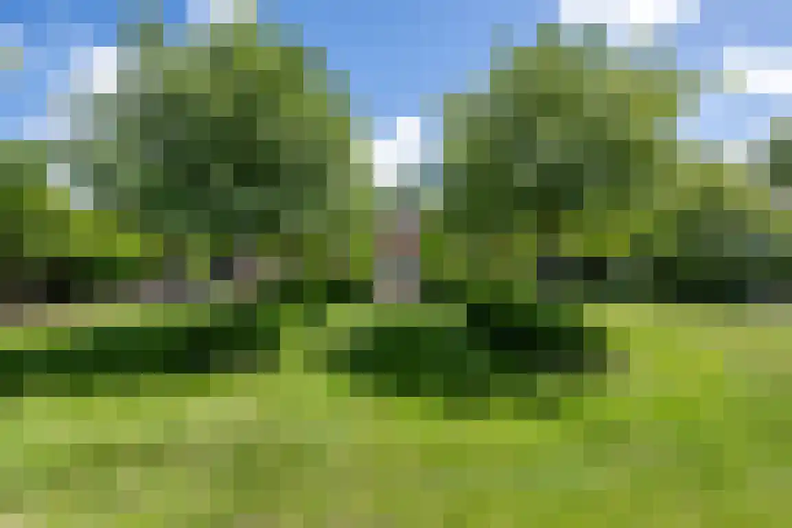 Hoge Pad 17 Ouddorp thumbnail 4