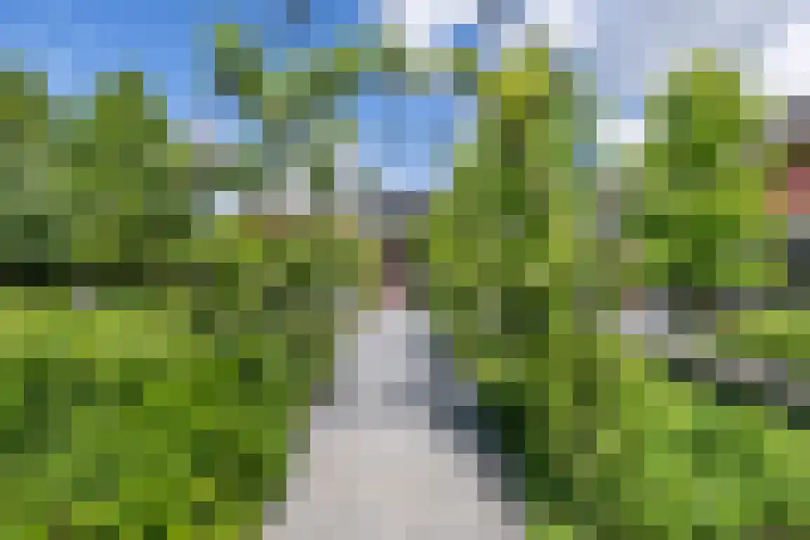 Hoge Pad 17 Ouddorp thumbnail 45