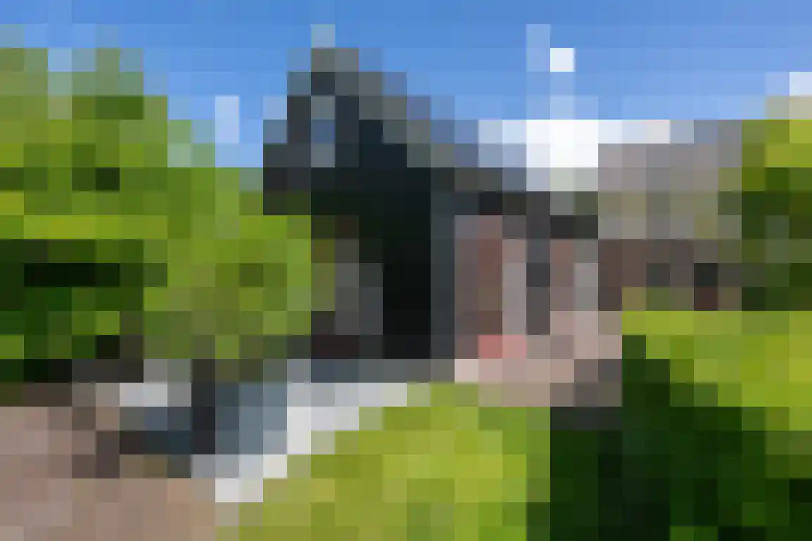 Hoge Pad 17 Ouddorp thumbnail 46