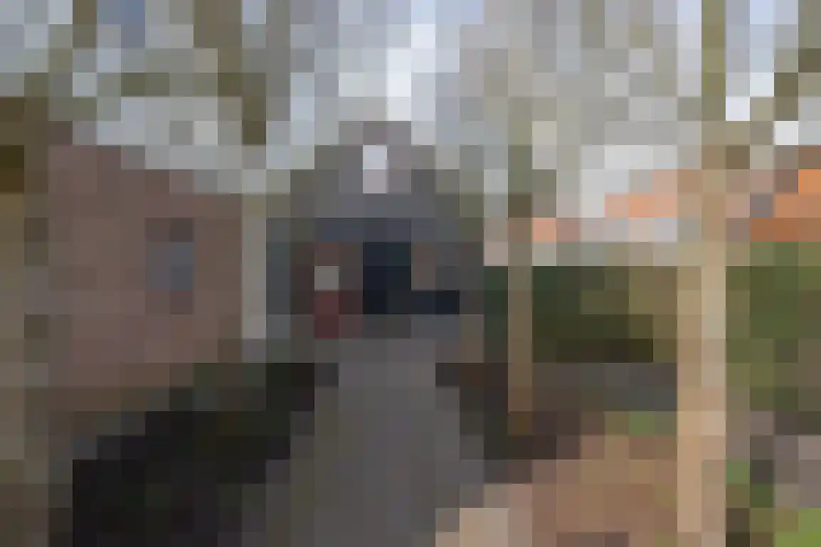 Hoge Pad 17 Ouddorp thumbnail 49