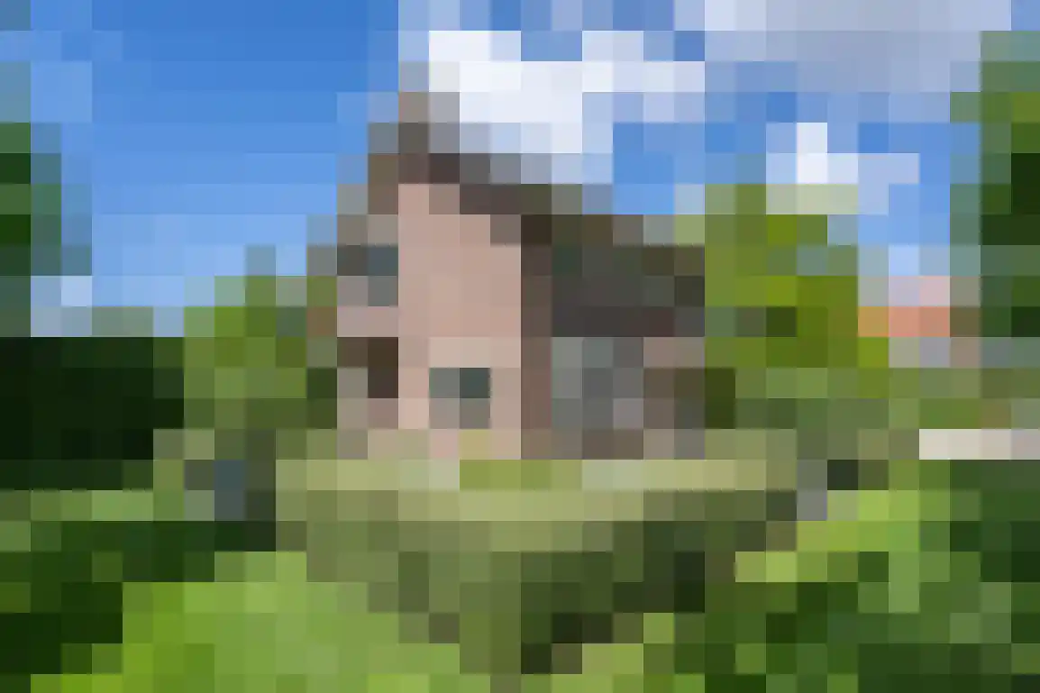 Hoge Pad 17 Ouddorp thumbnail 5