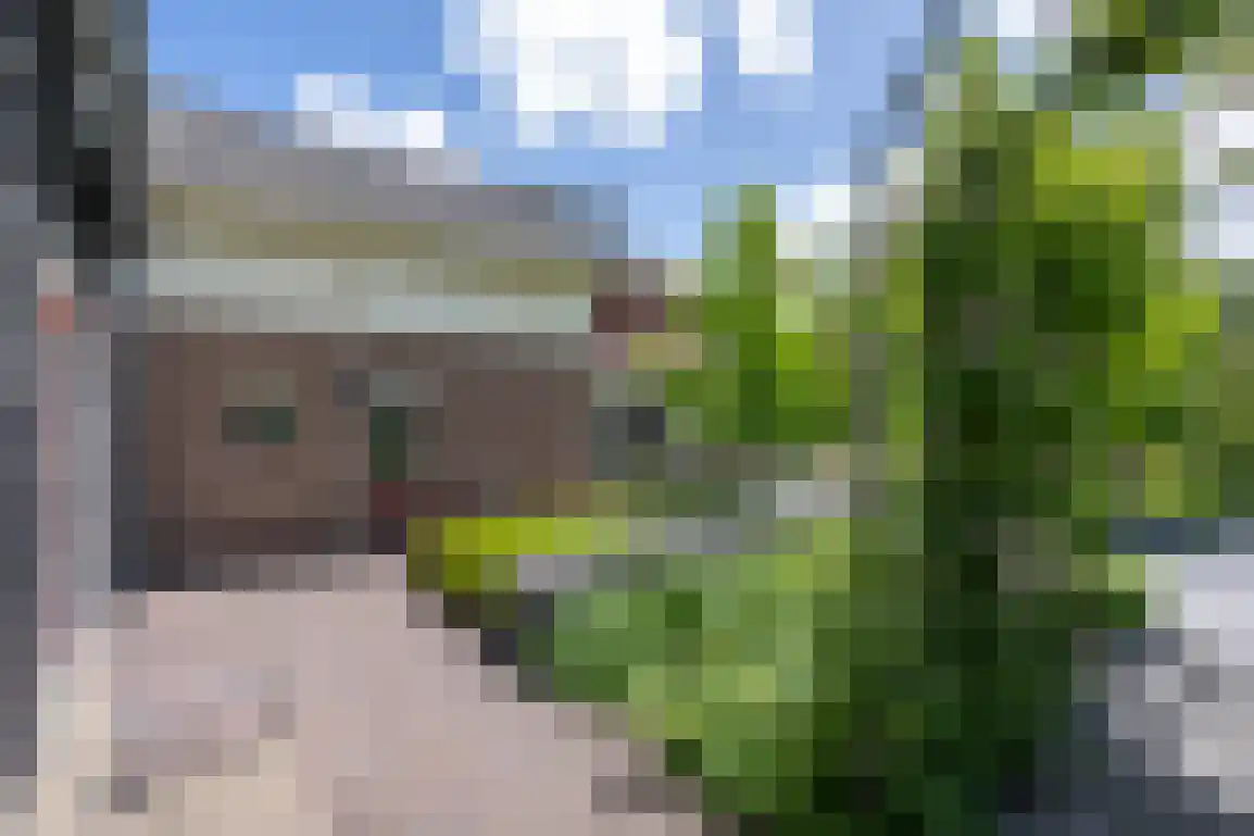 Hoge Pad 17 Ouddorp thumbnail 54